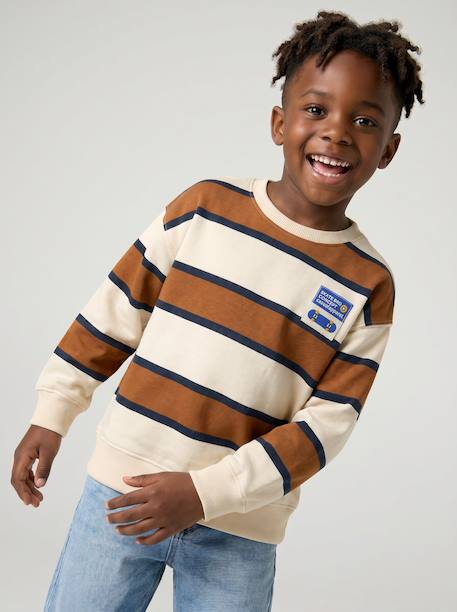 Jongenssweater met ronde hals hazelnoot+marineblauw+pistache - vertbaudet enfant 