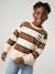 Jongenssweater met ronde hals hazelnoot+marineblauw+pistache - vertbaudet enfant 