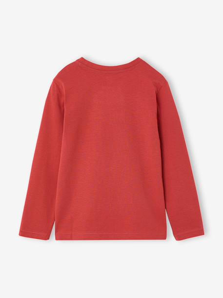 Set van 3 jongensshirts met lange mouwen karamel+lila+roest+saliegroen - vertbaudet enfant 