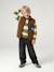 Jongenssweater met ronde hals hazelnoot+marineblauw+pistache - vertbaudet enfant 