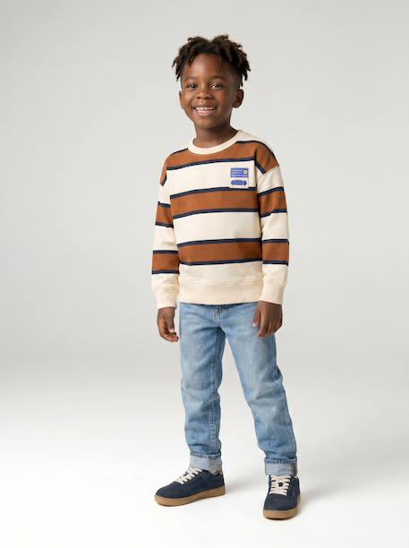 Jongenssweater met ronde hals hazelnoot+marineblauw+pistache - vertbaudet enfant 