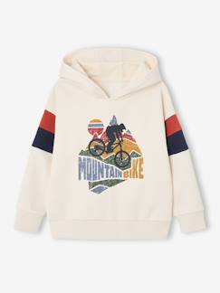 -Sweater met capuchon met geplaatste print