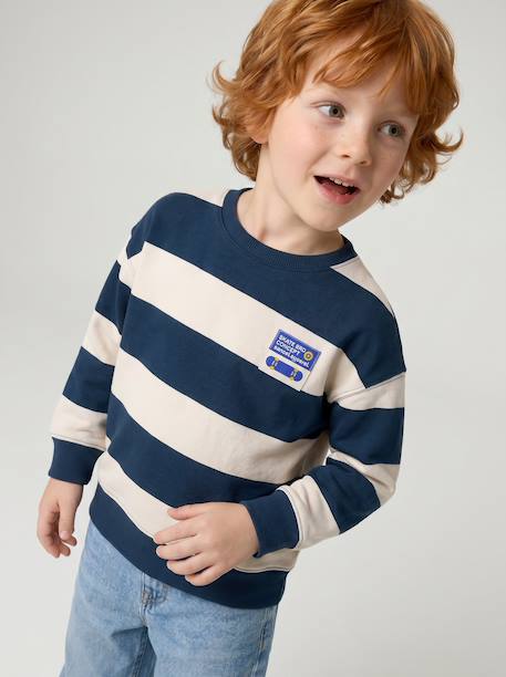 Jongenssweater met ronde hals hazelnoot+marineblauw+pistache - vertbaudet enfant 