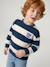 Jongenssweater met ronde hals hazelnoot+marineblauw+pistache - vertbaudet enfant 