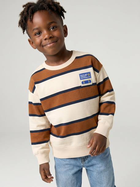 Jongenssweater met ronde hals hazelnoot+marineblauw+pistache - vertbaudet enfant 