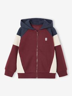 -Sweater met rits jongen met capuchon coloblock