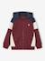 Sweater met rits jongen met capuchon coloblock bordeauxrood+gemêleerd grijs+groen+middenblauw+okergeel - vertbaudet enfant 