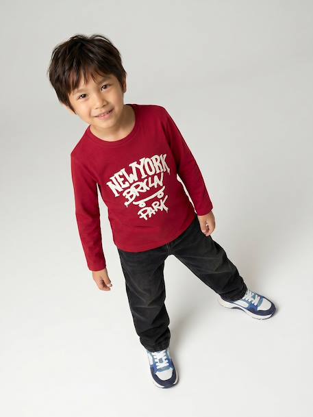 Jongensshirt met lange mouwen antraciet+cappuccino+rood+saliegroen+wit - vertbaudet enfant 