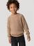 Jongens trui met ronde hals gemêleerd beige - vertbaudet enfant 