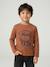 Jongensshirt met lange mouwen antraciet+cappuccino+rood+saliegroen+wit - vertbaudet enfant 