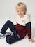 sweater  met capuchon voor jongens met colourblocking bordeauxrood+rood - vertbaudet enfant 