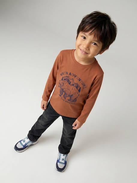 Jongensshirt met lange mouwen antraciet+cappuccino+rood+saliegroen+wit - vertbaudet enfant 