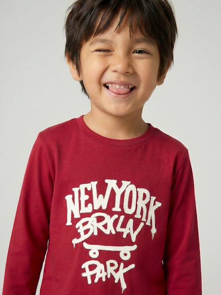 Jongensshirt met lange mouwen antraciet+cappuccino+rood+saliegroen+wit - vertbaudet enfant 