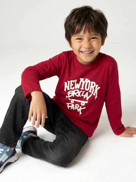 Jongensshirt met lange mouwen antraciet+cappuccino+rood+saliegroen+wit - vertbaudet enfant 