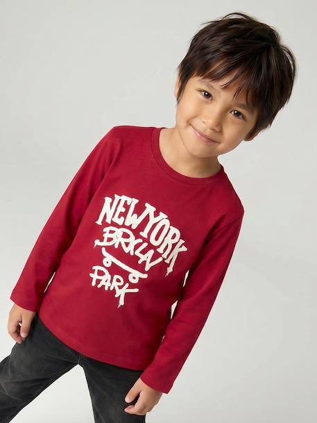 Jongensshirt met lange mouwen antraciet+cappuccino+rood+saliegroen+wit - vertbaudet enfant 