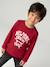 Jongensshirt met lange mouwen antraciet+cappuccino+rood+saliegroen+wit - vertbaudet enfant 