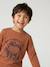 Jongensshirt met lange mouwen antraciet+cappuccino+rood+saliegroen+wit - vertbaudet enfant 