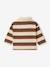 Gestreept polo t-shirt voor baby's met lange mouwen cacao+grijsblauw - vertbaudet enfant 