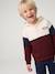 sweater  met capuchon voor jongens met colourblocking bordeauxrood+rood - vertbaudet enfant 