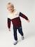 sweater  met capuchon voor jongens met colourblocking bordeauxrood+rood - vertbaudet enfant 