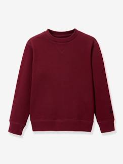 Jongens-Sweater met ronde hals CYRILLUS