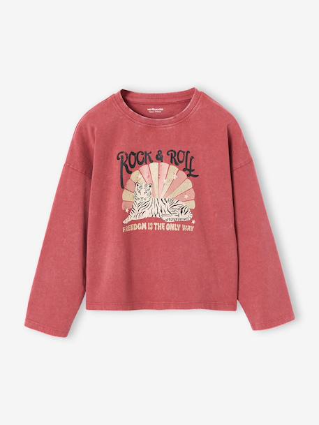 T-shirt met lange mouwen voor meisjes chambrayblauw+oudroze - vertbaudet enfant 