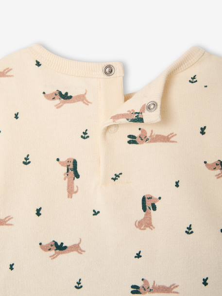 Babyset T-shirt en broek jongen groen+karamel - vertbaudet enfant 