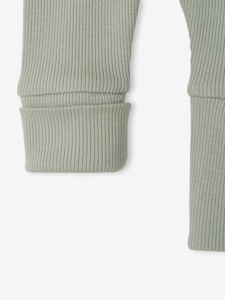 Lange legging voor baby's BASICS 6629+beige+donkerbruin+lichtroze+marineblauw+saliegroen - vertbaudet enfant 