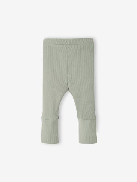 Lange legging voor baby's BASICS 6629+beige+donkerbruin+lichtroze+marineblauw+saliegroen - vertbaudet enfant 
