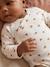 Set van 5 newborn rompers met lange mouwen ecru - vertbaudet enfant 