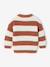 Gestreepte babytrui met lange mouwen marineblauw+terracotta - vertbaudet enfant 