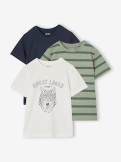 -Set van 3 T-shirt met korte mouwen