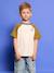 Jongens T-shirt met raglanmouwen kaki - vertbaudet enfant 