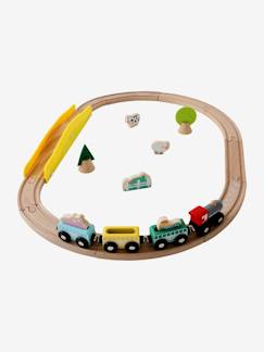 Speelgoed-Klein houten treincircuit