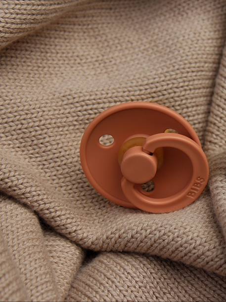 Set van 2 BIBS Colour-fopspenen, maat 1 van 0 tot 6 maanden Amandelgroen + kaki+Diepblauw + petrolblauw+IJzergrijs + babyblauw+Poederroze + vanille+rouge+saliegroen+Terracotta + poederroze - vertbaudet enfant 