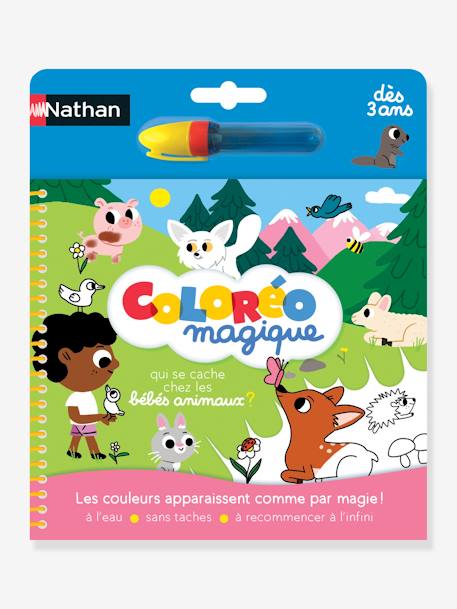 Kleurrijk babyboekje dieren - NATHAN MEERKLEURIG - vertbaudet enfant 