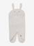 Plaid trappelzak baby in peluche, jersey-voering beer+ivoor - vertbaudet enfant 