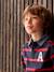 Gestreepte polo jongens effect 2-in-1 6680+donkerblauw+Engels groen+marineblauw+rood gestreept - vertbaudet enfant 