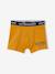 Set van 5 Oeko-Tex® stretch jongensboxers walvissen Set blauw - vertbaudet enfant 