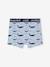 Set van 5 Oeko-Tex® stretch jongensboxers walvissen Set blauw - vertbaudet enfant 