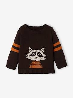 Baby-Trui, vest, sweater-Babytrui Wasbeer van tricot