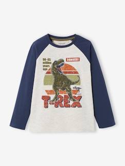 -Oeko-Tex® grafisch jongens-T-shirt met raglanmouwen