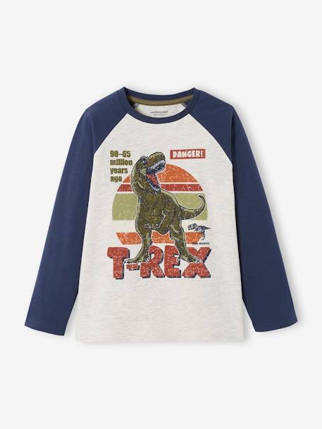 Oeko-Tex® grafisch jongens-T-shirt met raglanmouwen BLAUW+gemêleerd grijs - vertbaudet enfant 