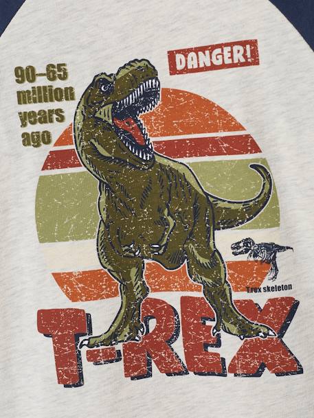 Oeko-Tex® grafisch jongens-T-shirt met raglanmouwen BLAUW+gemêleerd grijs - vertbaudet enfant 