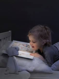 Speelgoed-Educatief speelgoed-Fin het schaap-nachtlampje en leesspeeltje ZAZU