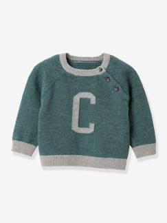 Baby-Trui, vest, sweater-Babytrui in lamswol CYRILLUS