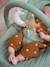 Transat met Babydream-boog beige, bedrukt+ecru+grijs/wit+lindegroen+marineblauw - vertbaudet enfant 