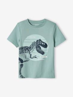 Jongensshirt met grote dinosaurusprint  - vertbaudet enfant
