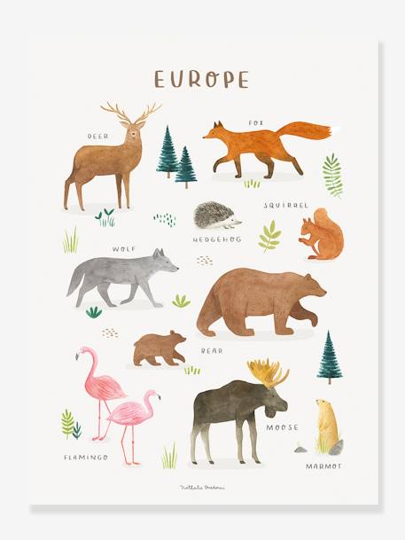 Poster dieren van Europa Lilydale LILIPINSO bruin - vertbaudet enfant 