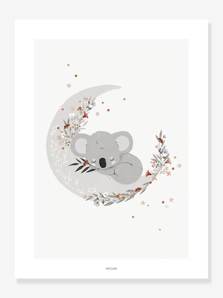 Poster Koala Lilydale LILIPINSO grijs - vertbaudet enfant 